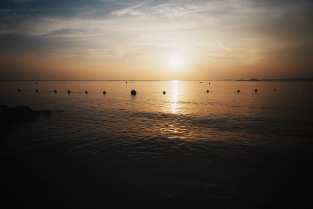 Cultivating a Life of Peace