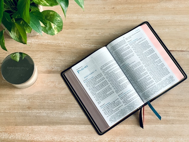 Wisdom Comes From God